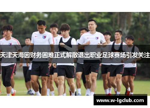 天津天海因财务困难正式解散退出职业足球赛场引发关注 天津天海因财务困难正式解散退出职业足球赛场引发关注